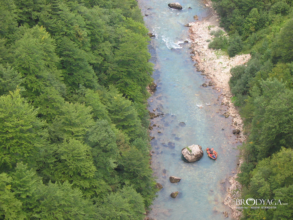 Tara